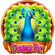 Double Fly
